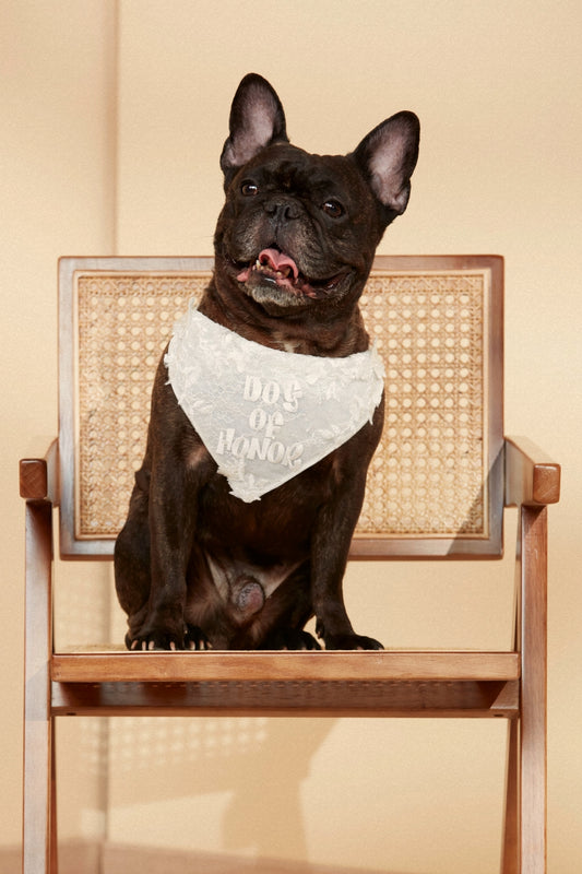Dog of Honor Bandana