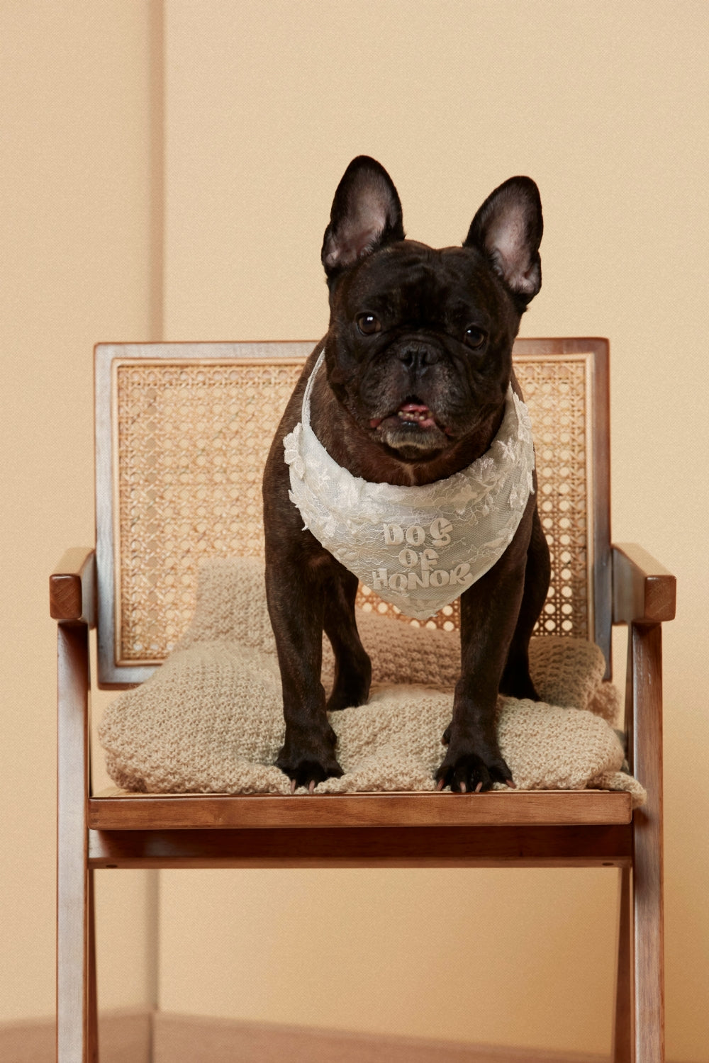 Dog of Honor Bandana