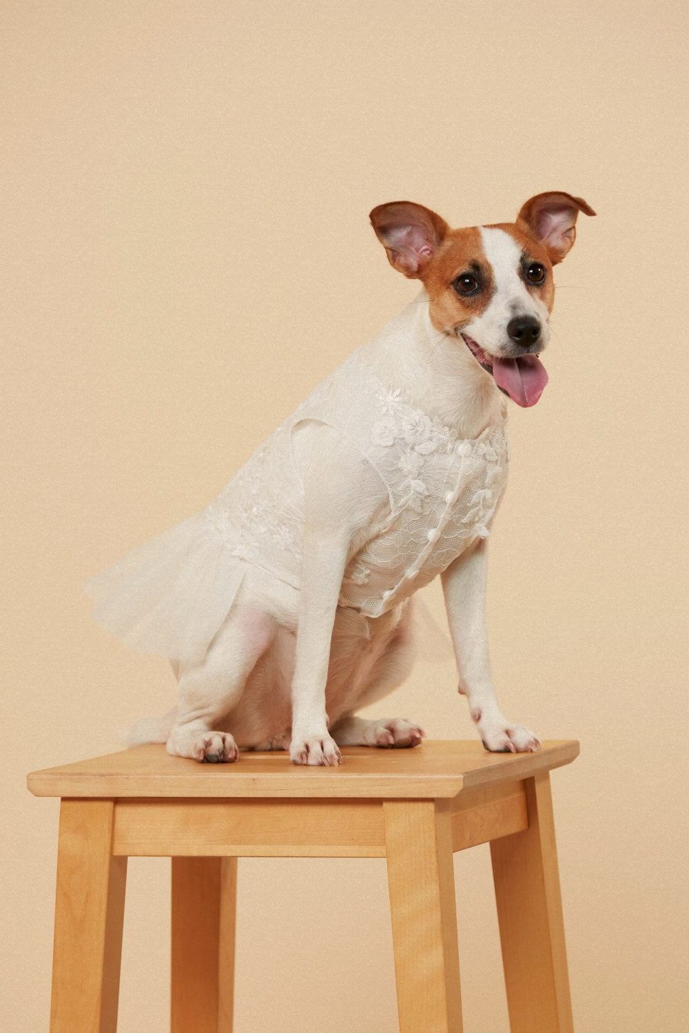 Dog of Honor Tutu Dress