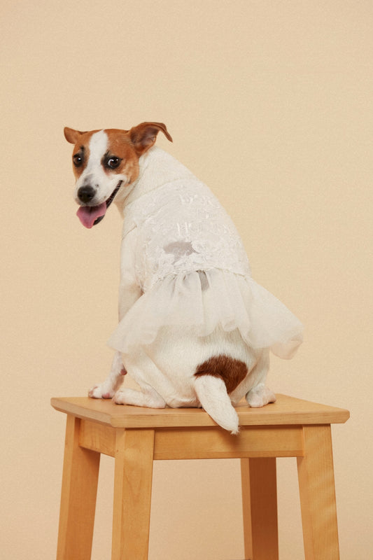 Dog of Honor Tutu Dress