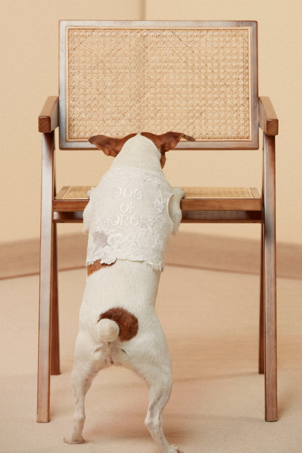 Dog of Honor Tutu Dress